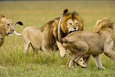 《小小梦魇3》PS5版容量公布！国庆期间开启预载